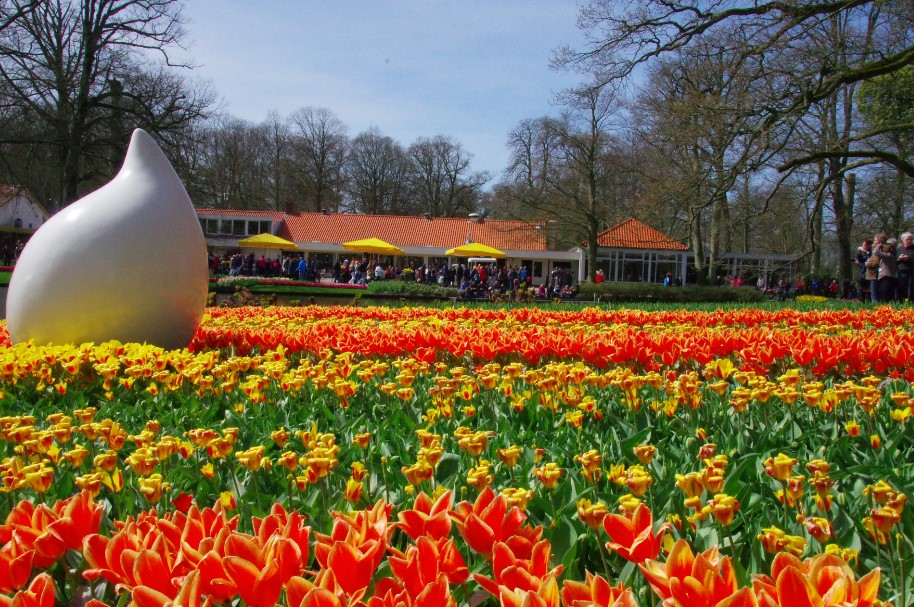 Detail Taman Bunga Tulip Terindah Di Dunia Nomer 34