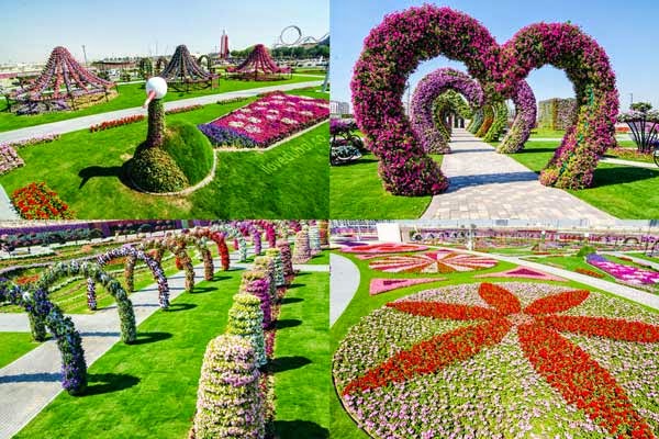 Detail Taman Bunga Tulip Terindah Di Dunia Nomer 50