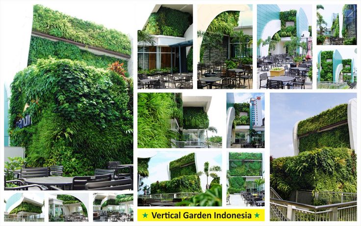 Detail Taman Bunga Wisteria Di Indonesia Nomer 23