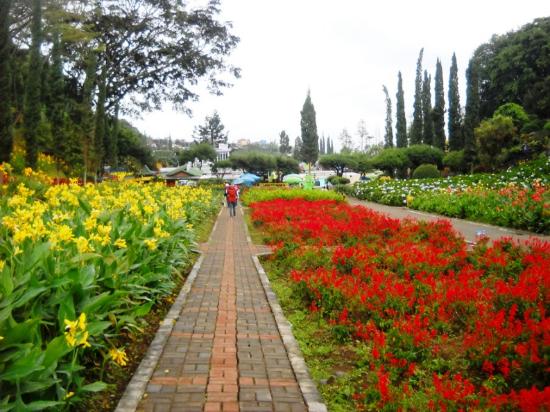 Detail Taman Bunga Yang Indah Nomer 9