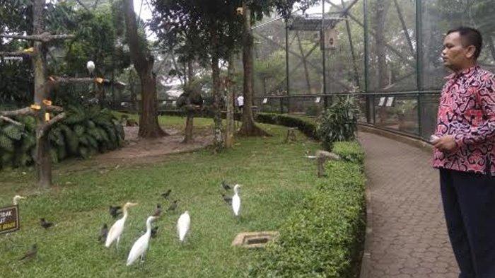 Detail Taman Burung Di Rumah Nomer 2