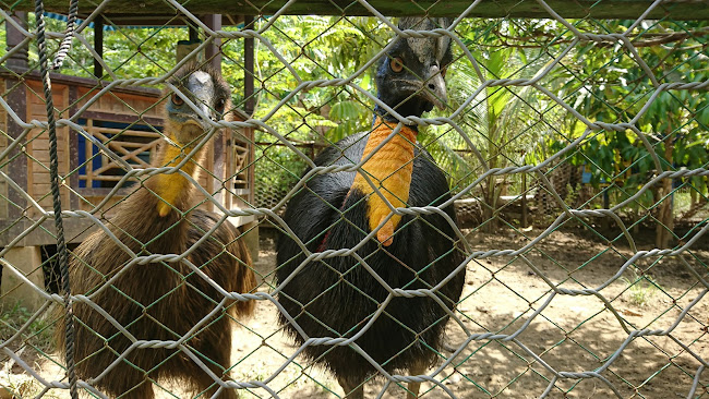 Detail Taman Burung Di Rumah Nomer 23