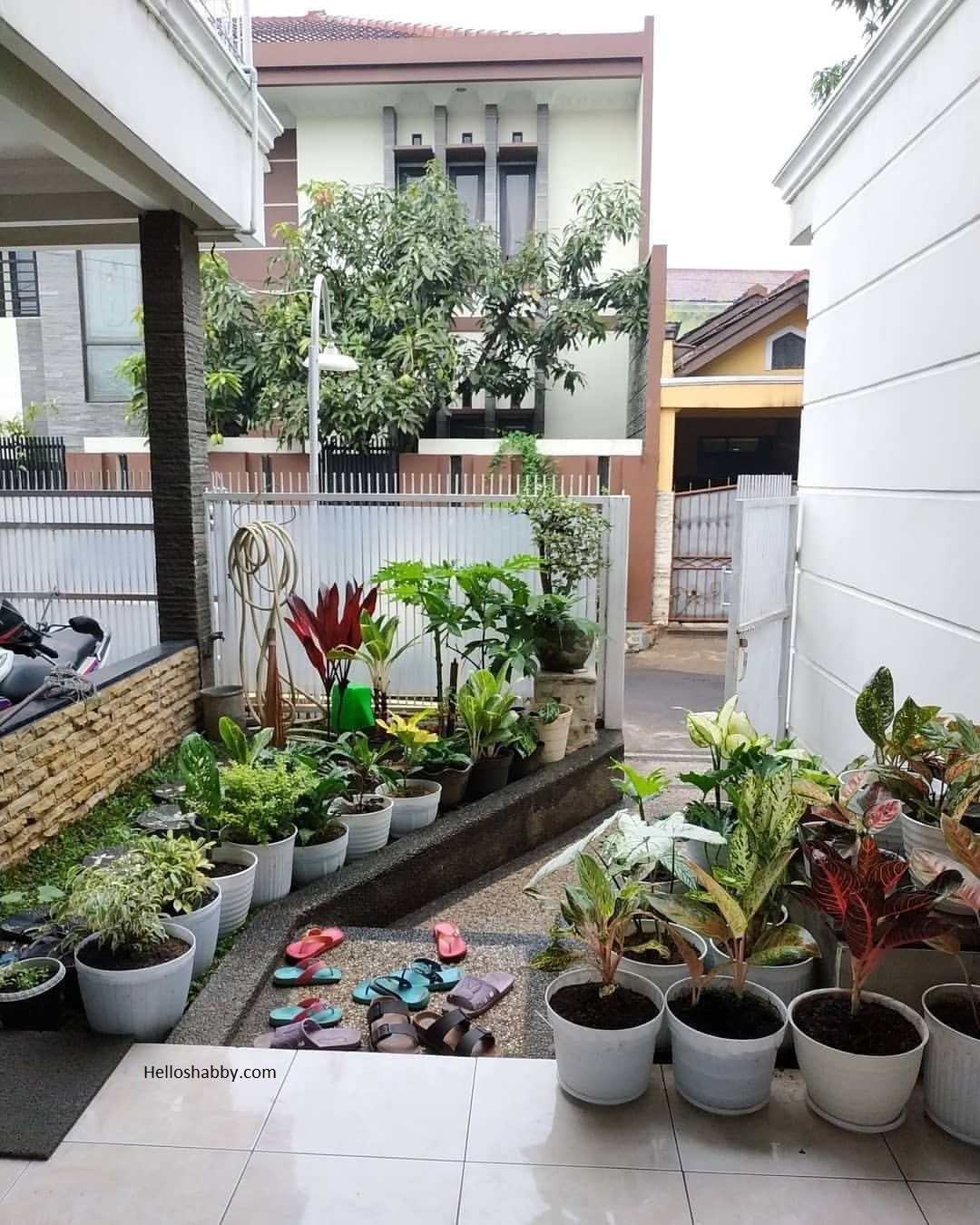 Detail Taman Dalam Rumah Minimalis Lahan Sempit Nomer 20