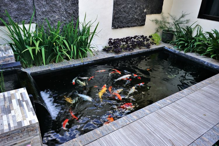 Detail Taman Dan Kolam Dalam Rumah Nomer 4