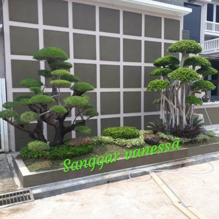 Taman Depan Pagar Rumah - KibrisPDR