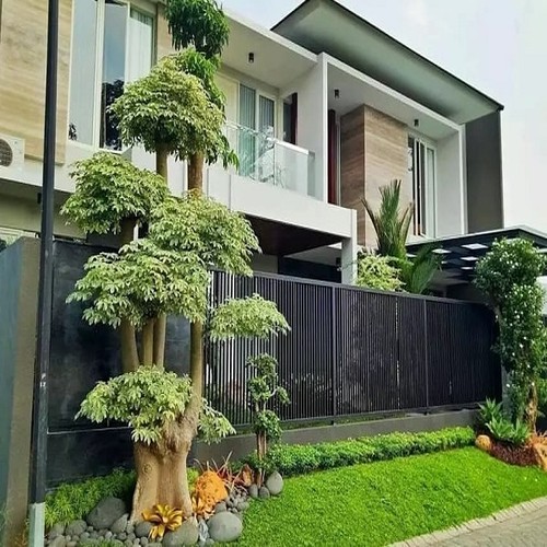 Detail Taman Depan Rumah Sederhana Cantik Nomer 8