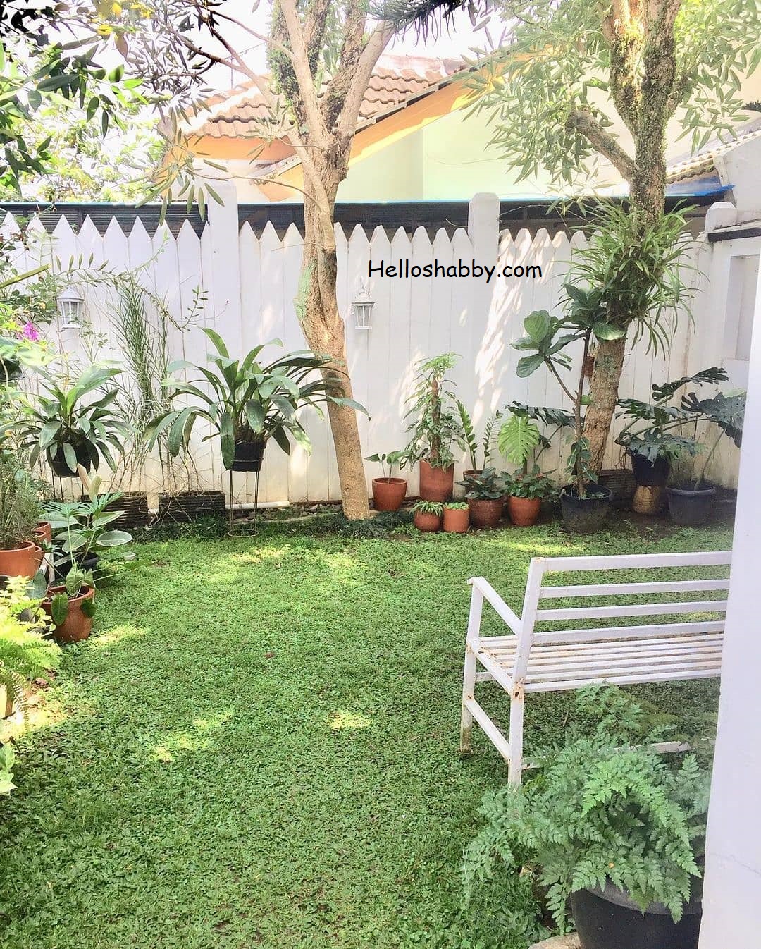 Detail Taman Depan Rumah Sederhana Cantik Nomer 44