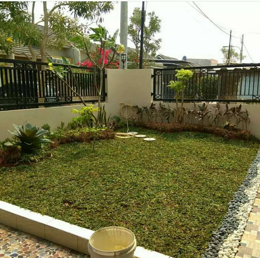 Detail Taman Di Halaman Rumah Minimalis Nomer 45