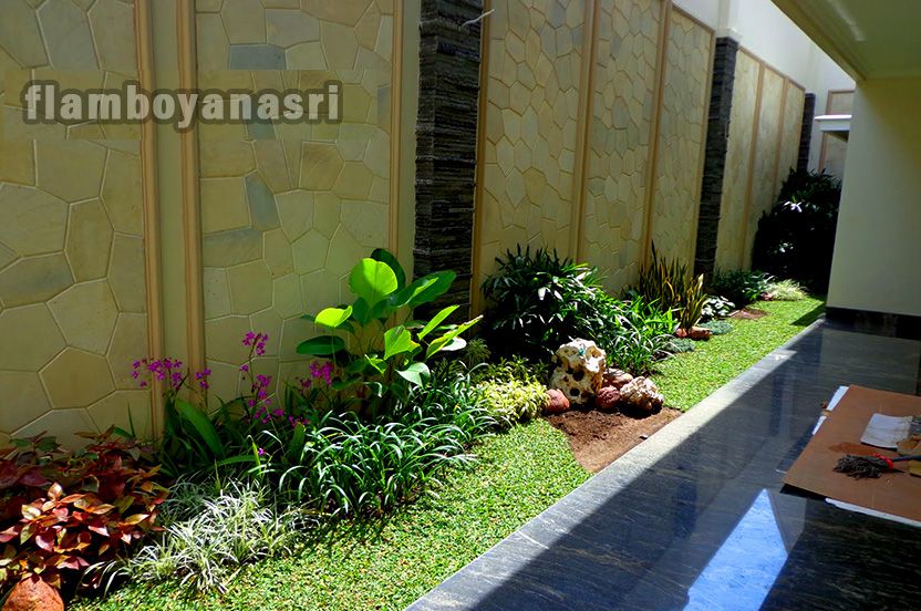 Detail Taman Dinding Samping Rumah Nomer 19