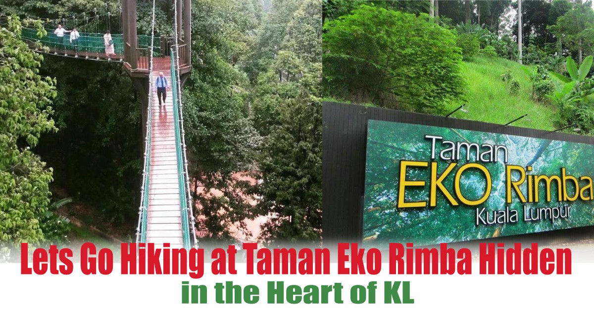 Detail Taman Eco Rimba Kuala Lumpur Nomer 28