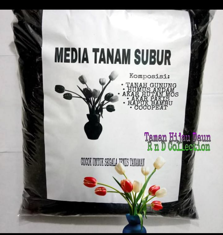 Detail Taman Hijau Daun Nomer 10