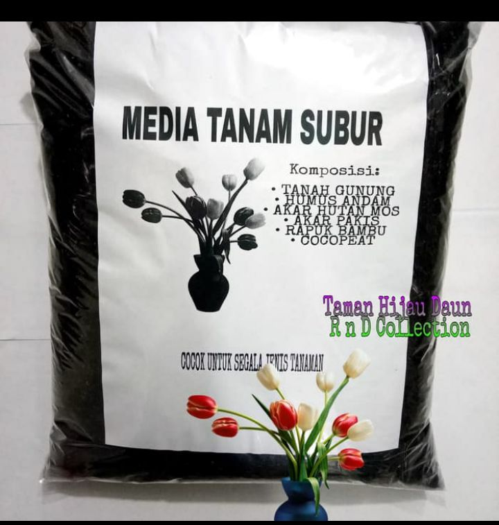 Detail Taman Hijau Daun Nomer 10