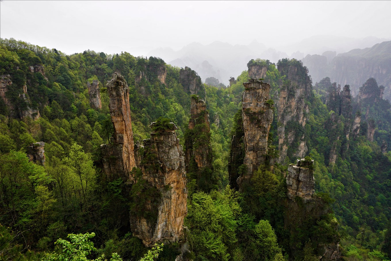 Detail Taman Hutan Nasional Zhangjiajie 13 Nomer 23