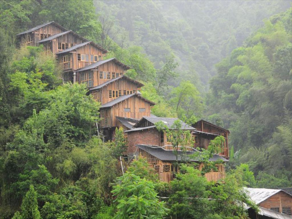 Detail Taman Hutan Nasional Zhangjiajie 13 Nomer 30