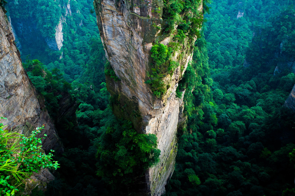 Detail Taman Hutan Nasional Zhangjiajie 13 Nomer 36