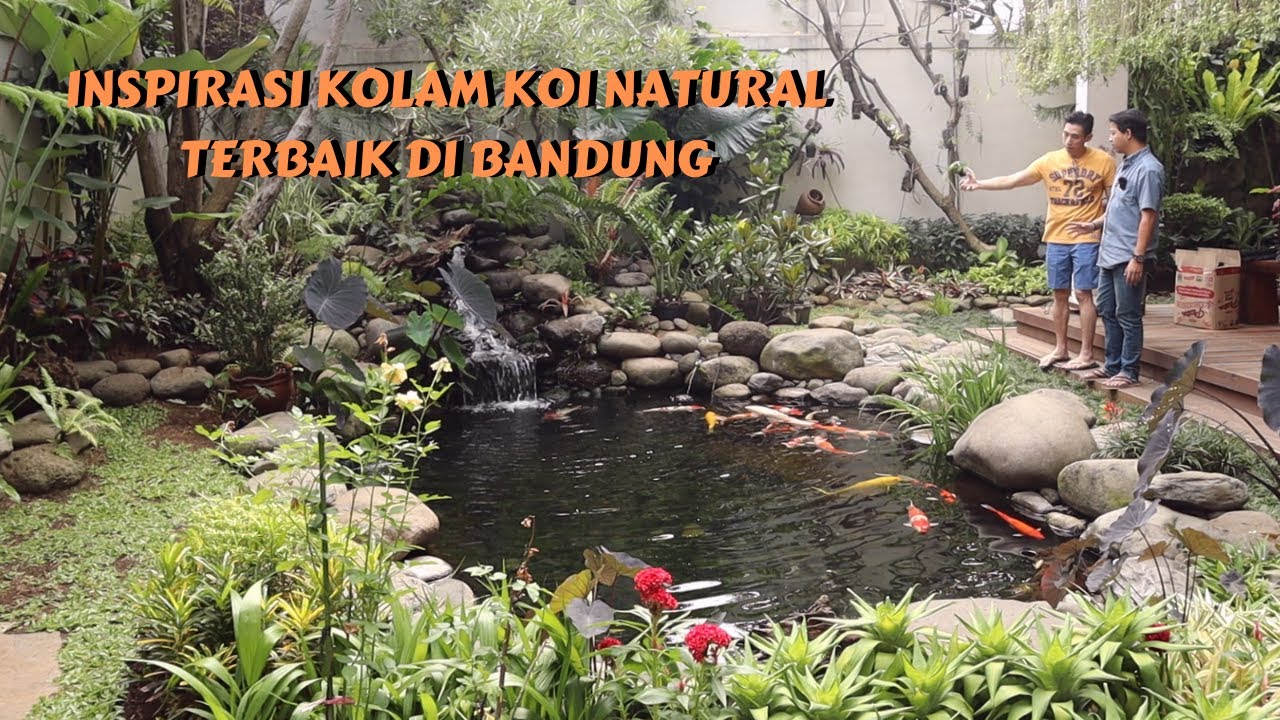 Detail Taman Ikan Koi Nomer 43