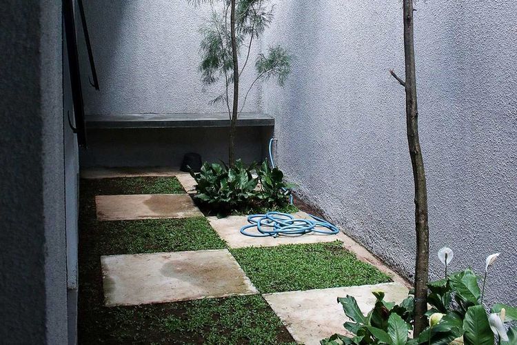 Detail Taman Kecil Belakang Rumah Minimalis Nomer 19