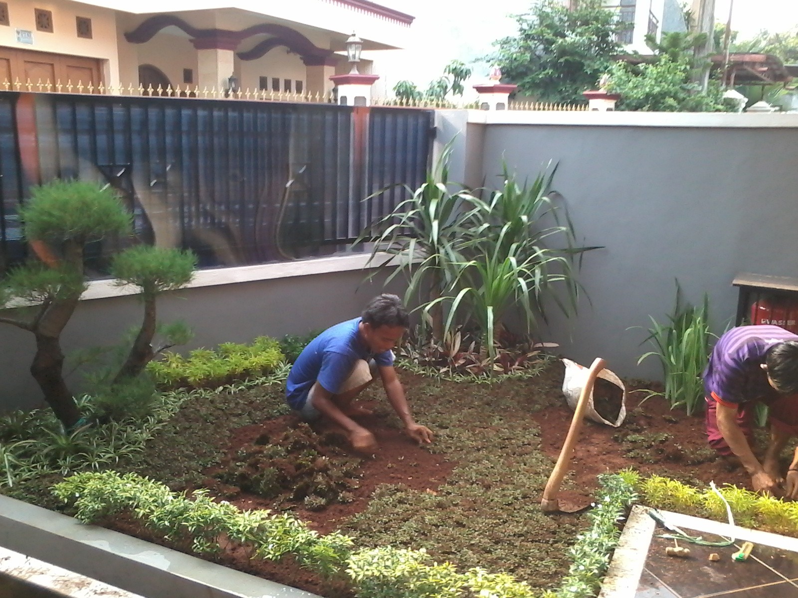 Detail Taman Kecil Depan Rumah Sederhana Nomer 9