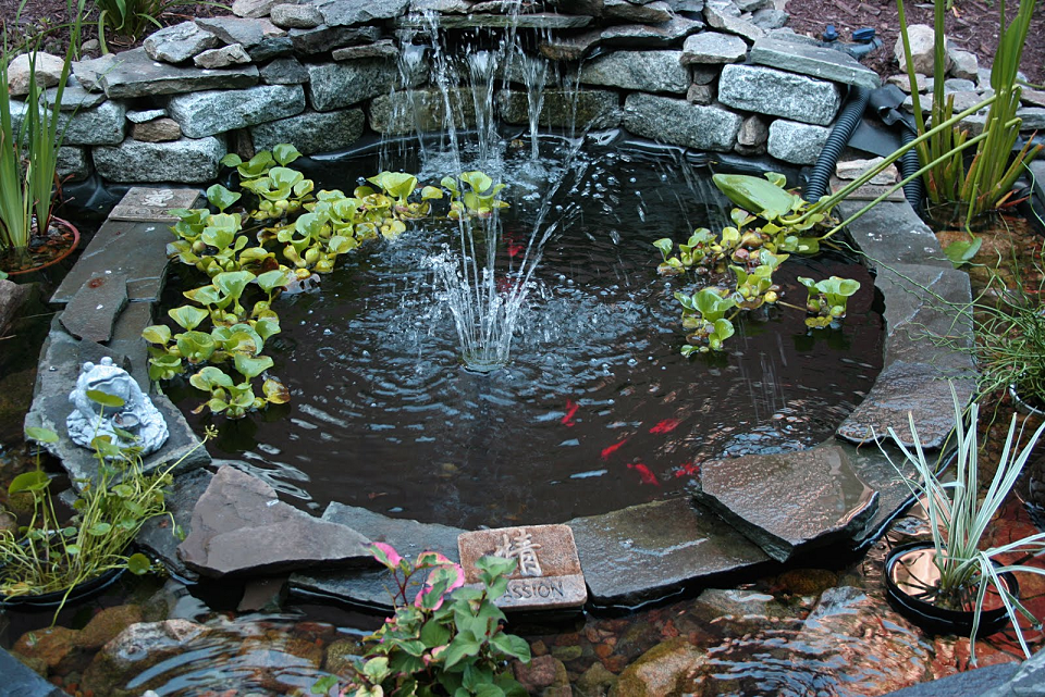 Detail Taman Kolam Ikan Depan Rumah Nomer 42