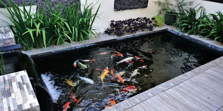 Detail Taman Kolam Ikan Koi Nomer 3