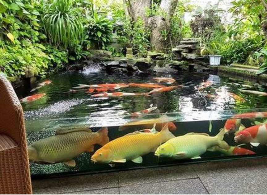 Detail Taman Kolam Ikan Koi Nomer 48