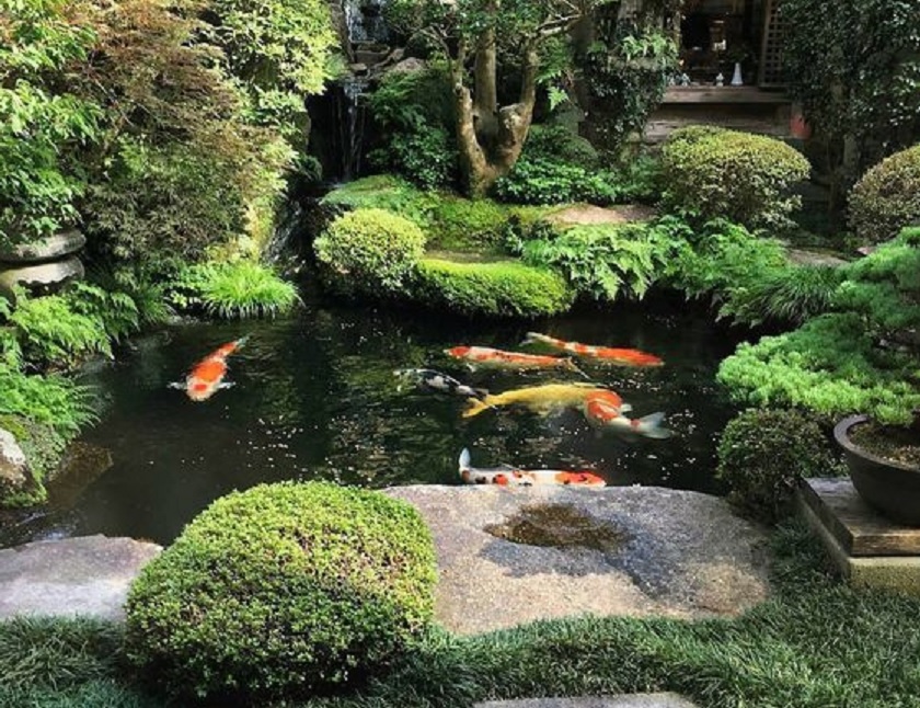 Detail Taman Kolam Ikan Minimalis Depan Rumah Nomer 12