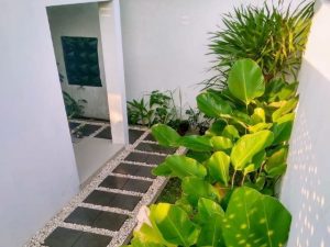 Detail Taman Lorong Samping Rumah Nomer 41