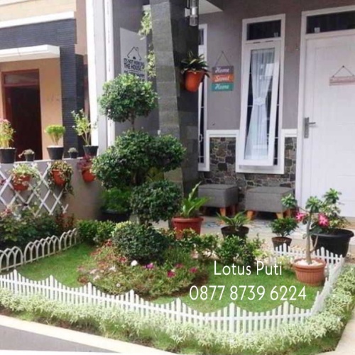 Detail Taman Mini Di Rumah Nomer 41