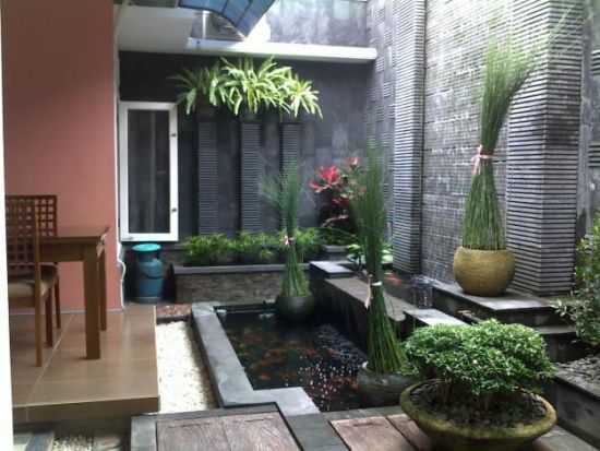 Detail Taman Minimalis Belakang Rumah Dengan Kolam Ikan Nomer 8