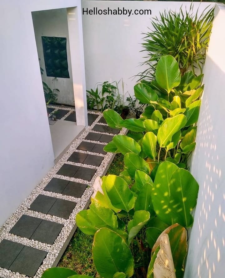 Detail Taman Minimalis Samping Rumah Sederhana Nomer 3