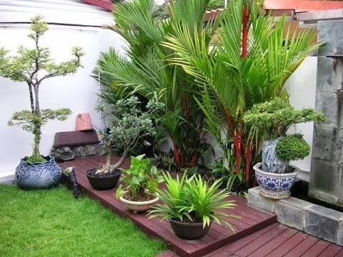 Detail Taman Mungil Di Teras Rumah Nomer 45