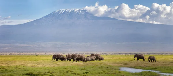 Detail Taman Nasional Amboseli Nomer 25