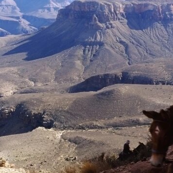 Detail Taman Nasional Grand Canyon Nomer 30