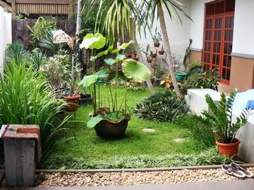 Detail Taman Pojok Depan Rumah Nomer 41