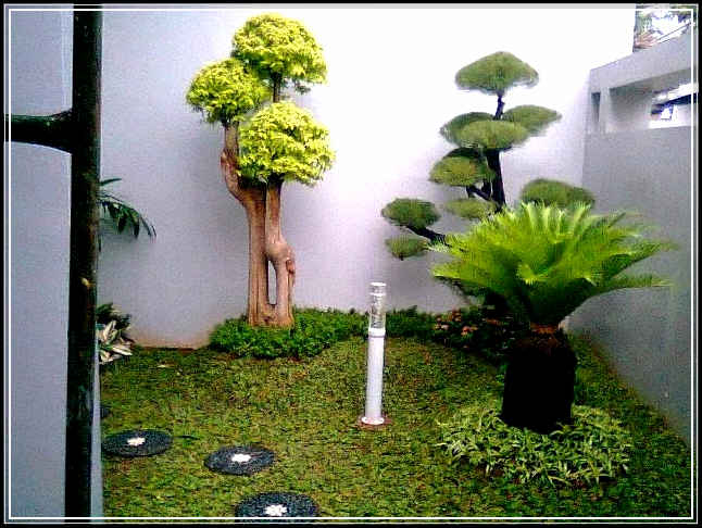 Detail Taman Pojok Depan Rumah Nomer 6