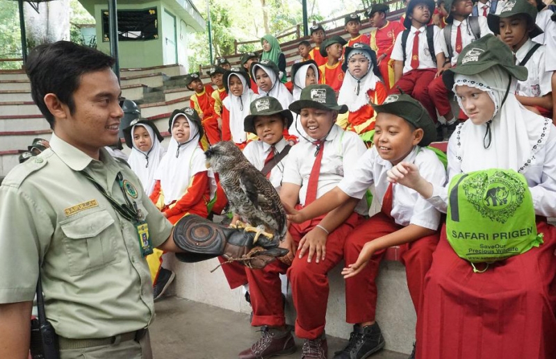 Detail Taman Safari Prigen Di Jawa Timur Merupakan Contoh Pelestarian Nomer 45