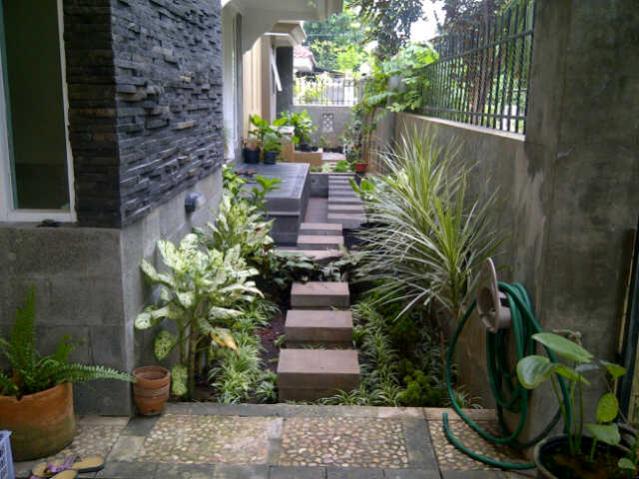 Detail Taman Samping Rumah 1 Meter Nomer 45