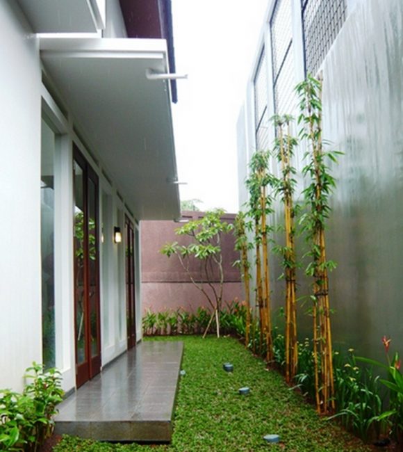 Detail Taman Samping Rumah Sempit Nomer 37