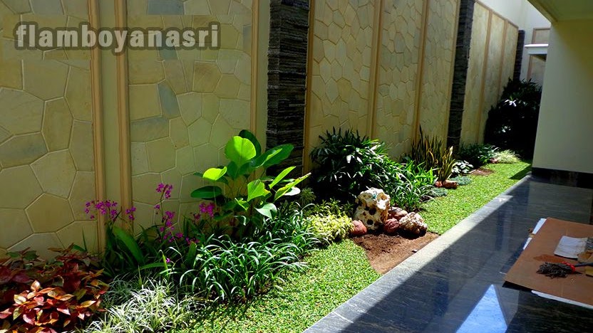 Detail Taman Sempit Samping Rumah Nomer 24