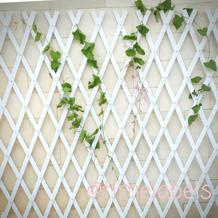 Detail Taman Shabby Chic Nomer 42