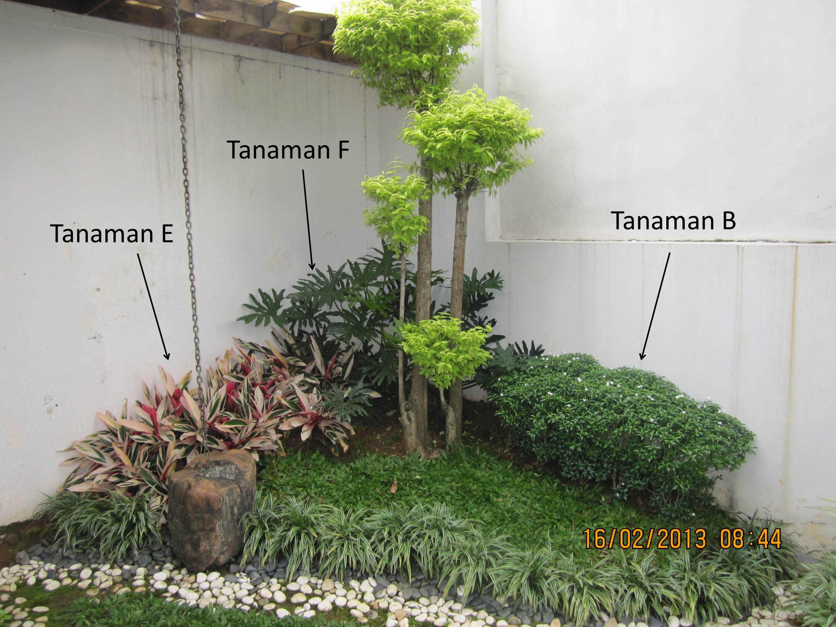 Detail Taman Sudut Rumah Nomer 25