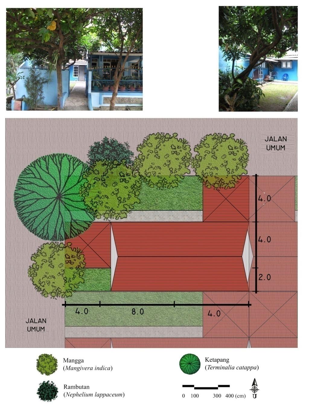 Detail Taman Tampak Atas Nomer 11