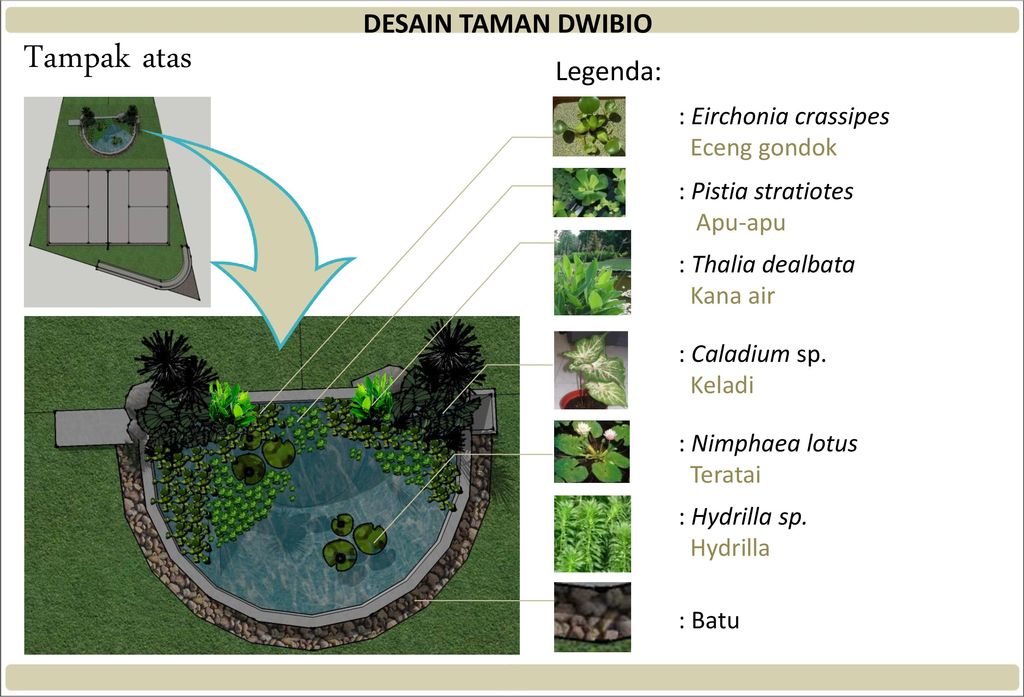 Detail Taman Tampak Atas Nomer 16