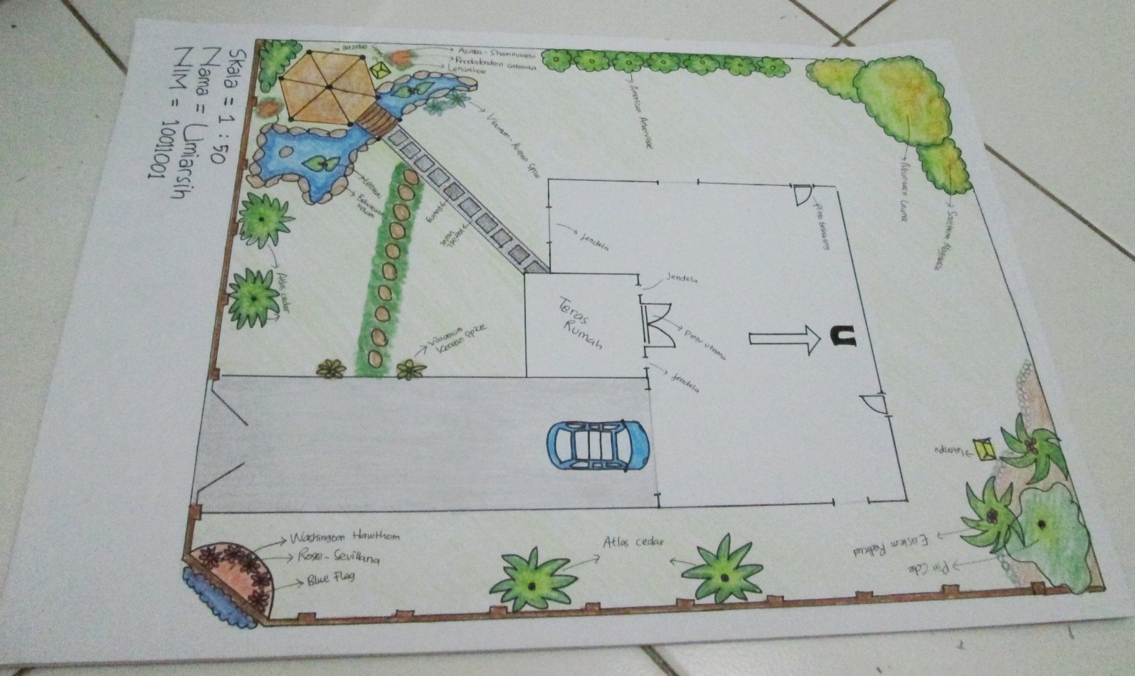 Detail Taman Tampak Atas Nomer 6