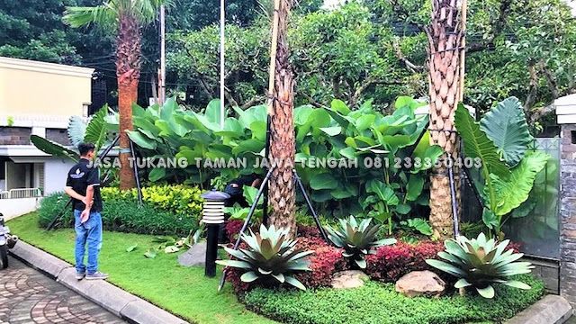 Detail Taman Tropis Depan Rumah Nomer 12