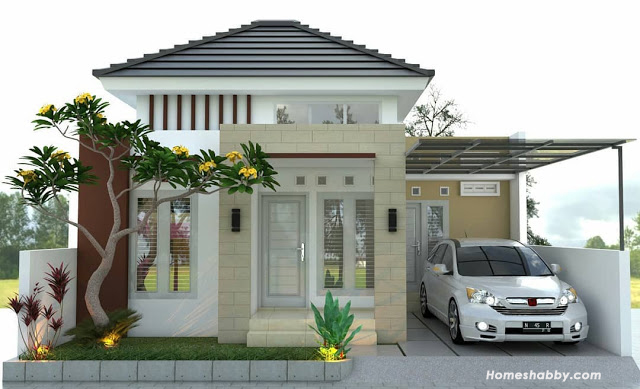 Detail Tampak Depan Model Rumah Minimalis Nomer 8