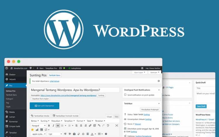 Detail Tampilan Wordpress Saat Di Akses Tidak Ada Gambar Nomer 15