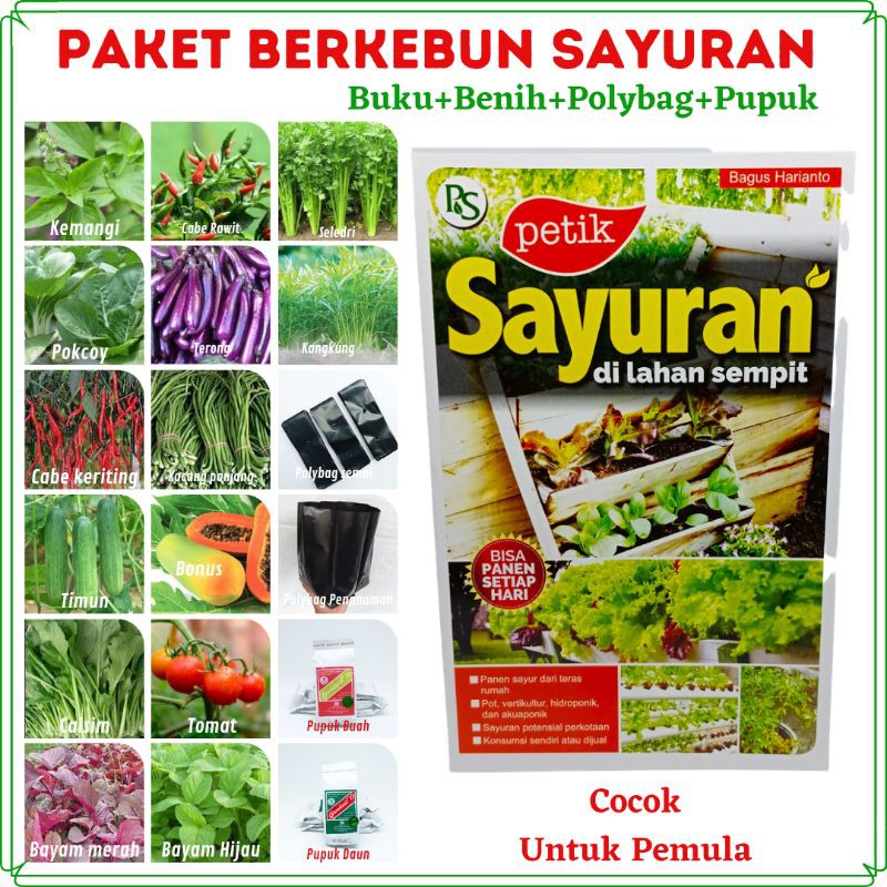 Detail Tanam Sayur Di Rumah Nomer 32