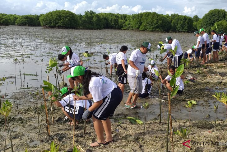 Detail Tanaman Bakau Adalah Nomer 47