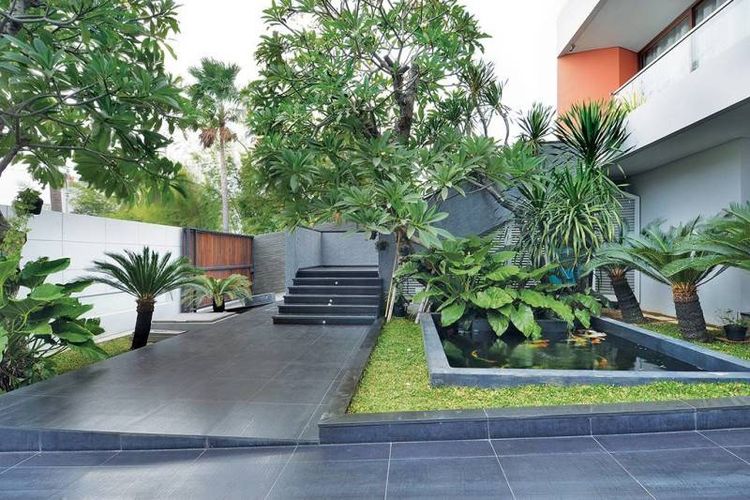 Detail Tanaman Belakang Rumah Minimalis Nomer 25